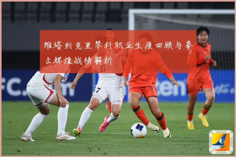 维塔利克里琴科职业生涯回顾与拳击辉煌战绩解析