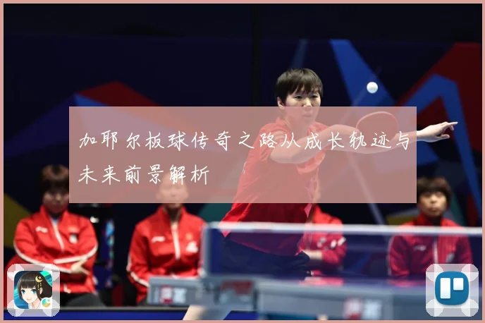 加耶尔板球传奇之路从成长轨迹与未来前景解析